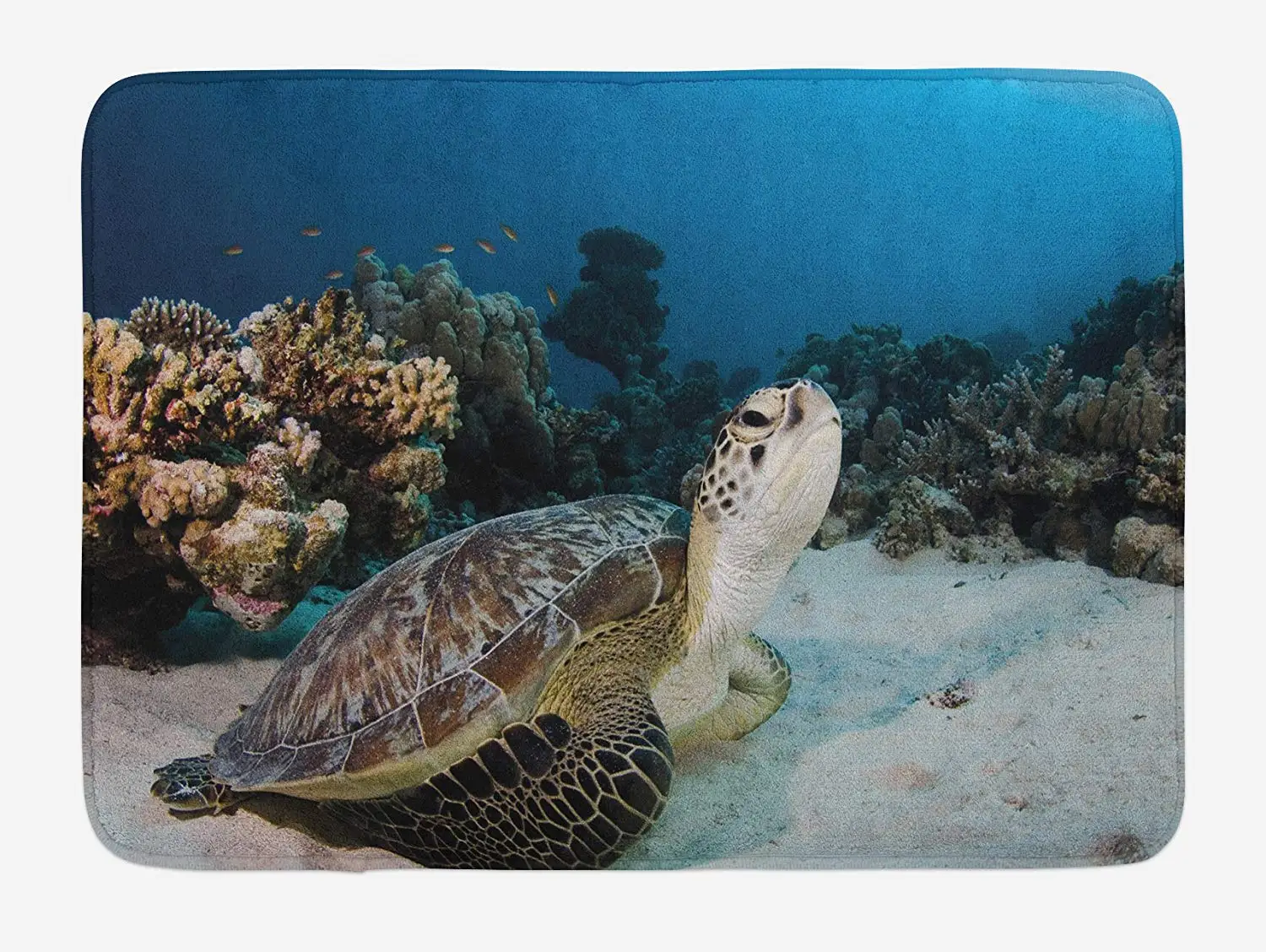 Turtle Bath Mat Underwater Sea Animal on Coral Reef in Red Sea Egypt Amphibian Exotic Nature Plush Bathroom Mat
Turtle Bath Mat Underwater Sea Animal on Coral Reef in Red Sea Egypt Amphibian Exotic Nature Plush Bathroom Mat