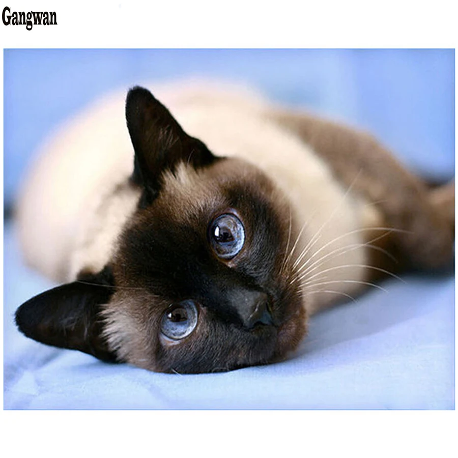 full Square Round Diamond Embroidery cross Stitch Handicrafts Siamese cat room Decor diy 5D mosaic Diamond painting kitten icons
full Square Round Diamond Embroidery cross Stitch Handicrafts Siamese cat room Decor diy 5D mosaic Diamond painting kitten icons