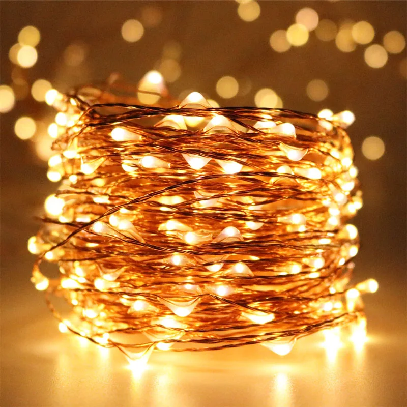 PI for Rui,10M 2 wire with bigger LED