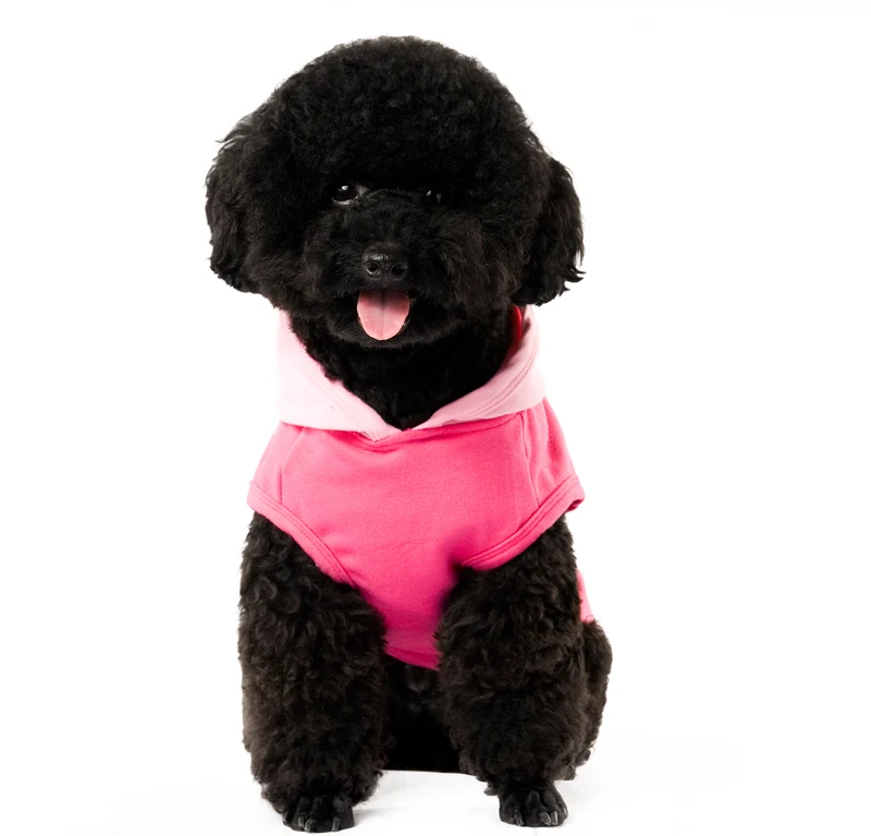 13 dog clothes hoodies