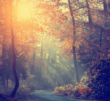 LB Polyester & Vinyl Backgrounds For Photo Studio Photography Backdrops Morning Sun Forest Path Wonderland Nature Decoration
LB Polyester & Vinyl Backgrounds For Photo Studio Photography Backdrops Morning Sun Forest Path Wonderland Nature Decoration