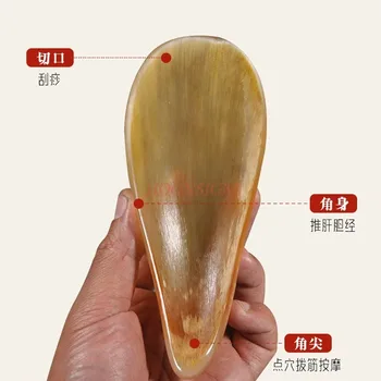 Scraper horn whole body universal natural authentic concave shop owner hand grinding back neck lifting massage beauty film
Scraper horn whole body universal natural authentic concave shop owner hand grinding back neck lifting massage beauty film