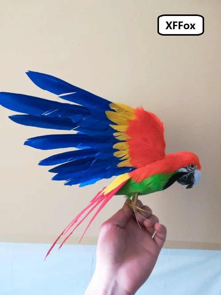 new real life orange parrot model foam&feather simulation wings red tail parrot bird gift about 30x45cm xf0303
new real life orange parrot model foam&feather simulation wings red tail parrot bird gift about 30x45cm xf0303