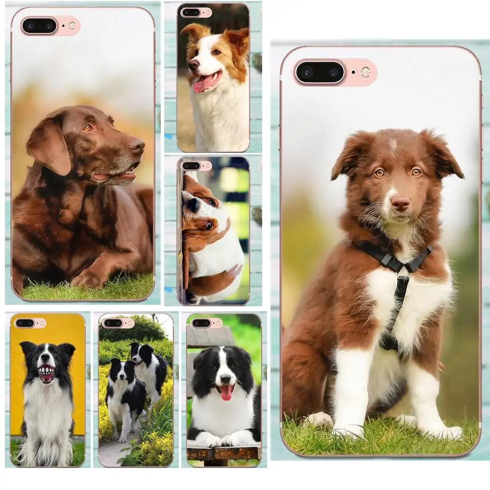 Personalized Phone Shell Transparent TPU For Huawei Mate 7 8 9 10 20 P8 P9 P10 P20 P30 Lite Plus Pro 2017 Slim Border Collie
Personalized Phone Shell Transparent TPU For Huawei Mate 7 8 9 10 20 P8 P9 P10 P20 P30 Lite Plus Pro 2017 Slim Border Collie