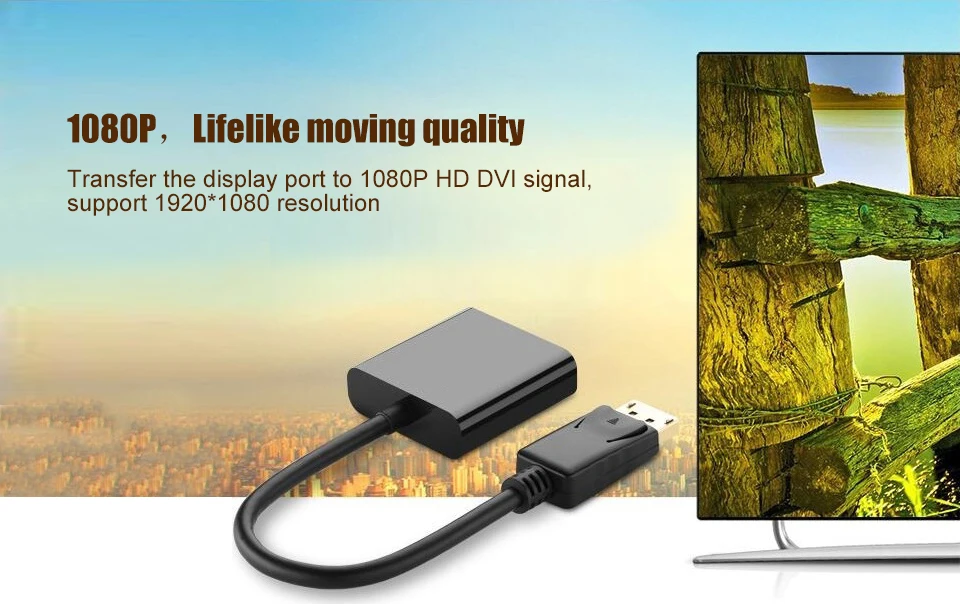 DP to DVI Adapter DisplayPort to DVI 24+5 Cable Adapter Converter Male to Female Support 1080P for Monitor Projector Displays (1)