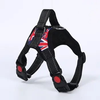 Pet Supplies Adjustable Chest Strap Teddy Pet Dog Supplies Fashion Dog Cat Chest Harness Dog Harness Collar Chihuahua Supplies
Pet Supplies Adjustable Chest Strap Teddy Pet Dog Supplies Fashion Dog Cat Chest Harness Dog Harness Collar Chihuahua Supplies