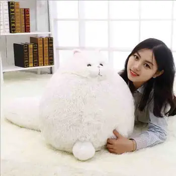 Cute Fat Cats Persian Cat Pet Toys Plush Toys Pillow Soft Plush Stuffed Animals Plush Dolls Simulation Kids Gifts
Cute Fat Cats Persian Cat Pet Toys Plush Toys Pillow Soft Plush Stuffed Animals Plush Dolls Simulation Kids Gifts