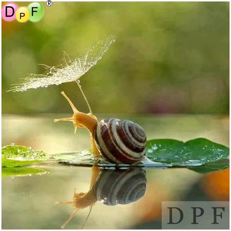DPF diamond embroidery snails diamond painting cross stich diamond mosaic kit 5D full square needlework home decor pattern DIY
DPF diamond embroidery snails diamond painting cross stich diamond mosaic kit 5D full square needlework home decor pattern DIY