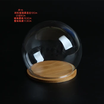9cm diameter 12cm height Transparent glass cover solid wood base glass cover dust cover
9cm diameter 12cm height Transparent glass cover solid wood base glass cover dust cover