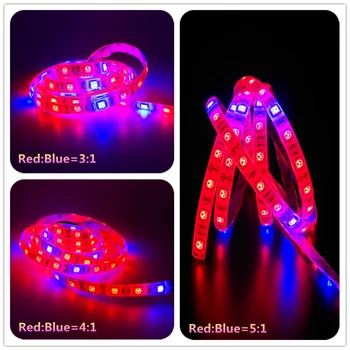 ReBlue Led Bulbs Seedling Led Grow Light DC 12V Plant lamp Grow Lamp full spectrum Led 3:1 4:1 5:1 for plants 1m 2m 3m 5m
ReBlue Led Bulbs Seedling Led Grow Light DC 12V Plant lamp Grow Lamp full spectrum Led 3:1 4:1 5:1 for plants 1m 2m 3m 5m