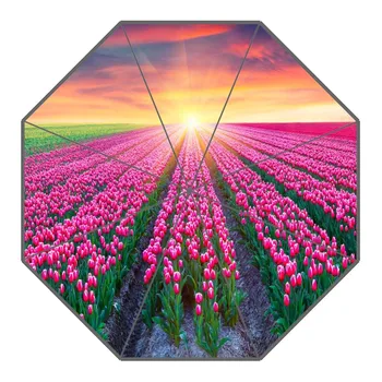 New Arrival Tulips Flower Umbrellas Non-Automatic Folding Women Rain Umbrella Customized Fashion Portable Umbrella Gift
New Arrival Tulips Flower Umbrellas Non-Automatic Folding Women Rain Umbrella Customized Fashion Portable Umbrella Gift