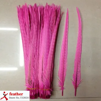 50 PCS pink natural pheasant tail feathers 50 to 55 cm / 20-22 inches feather decorations
50 PCS pink natural pheasant tail feathers 50 to 55 cm / 20-22 inches feather decorations
