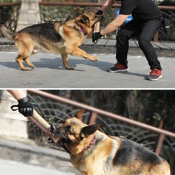 Tug Chewing Toys With Handles Interactive Fun Dog Toys Dog Bite Training Supplies Canva Dog Training Pillow Pad Stick
Tug Chewing Toys With Handles Interactive Fun Dog Toys Dog Bite Training Supplies Canva Dog Training Pillow Pad Stick