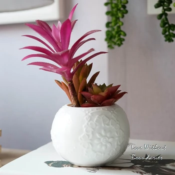 Circular ceramic pots succulents bonsai plants combined simulation simulation of high-end floral floral small potted meat
Circular ceramic pots succulents bonsai plants combined simulation simulation of high-end floral floral small potted meat