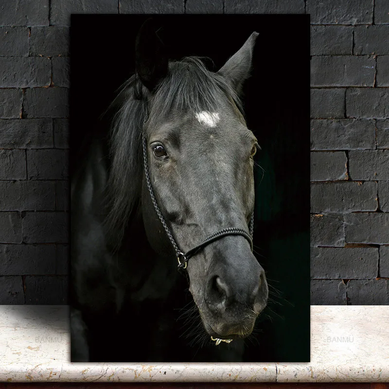 Picture horse wall painting art canvas Picture decor poster canvas painting Wall art animals art print Wall Picture no frame
Picture horse wall painting art canvas Picture decor poster canvas painting Wall art animals art print Wall Picture no frame