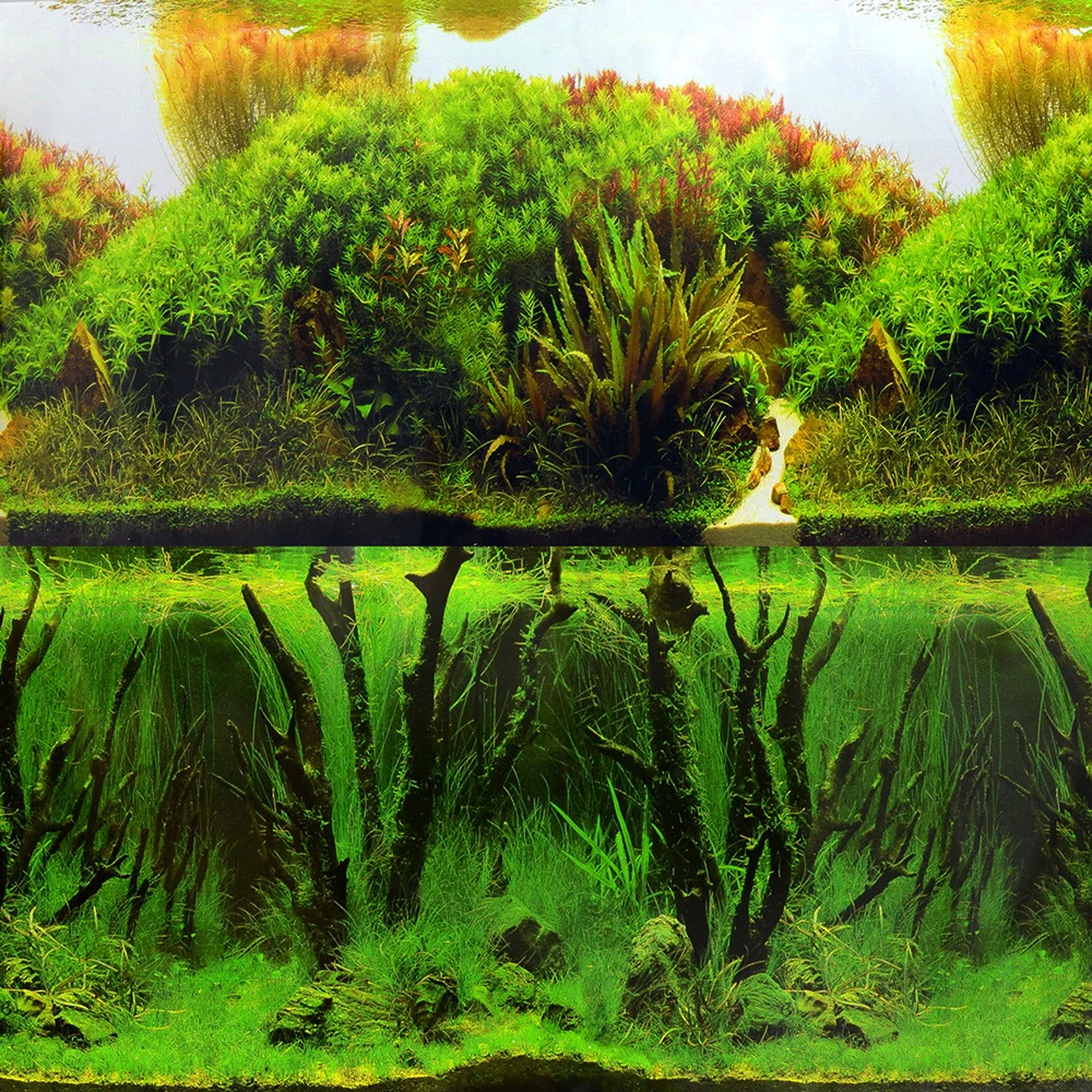 24" Background Painting Rolling Hills Amazon/Mystic Driftwood Forest Background for Fish Tank Aquarium Decorative Painting
24" Background Painting Rolling Hills Amazon/Mystic Driftwood Forest Background for Fish Tank Aquarium Decorative Painting