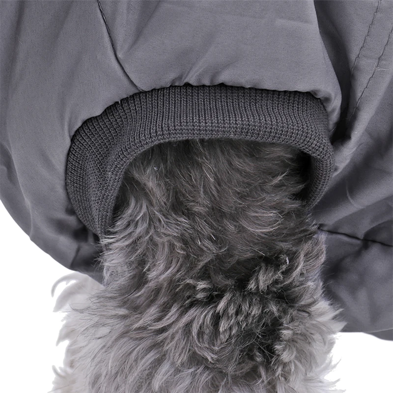 TB26YOpeekJL1JjSZFmXXcw0XXa_!!2193552176