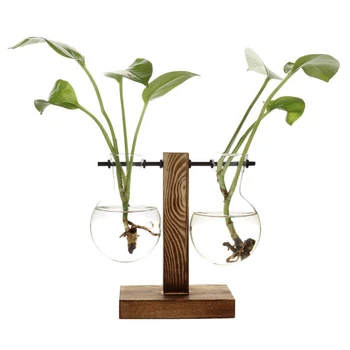 Simple Glass Bottle with Wooden Shelf Desktop Glass Hanging Hydroponics Vase Home Decor Transparent Vase Household Items
Simple Glass Bottle with Wooden Shelf Desktop Glass Hanging Hydroponics Vase Home Decor Transparent Vase Household Items