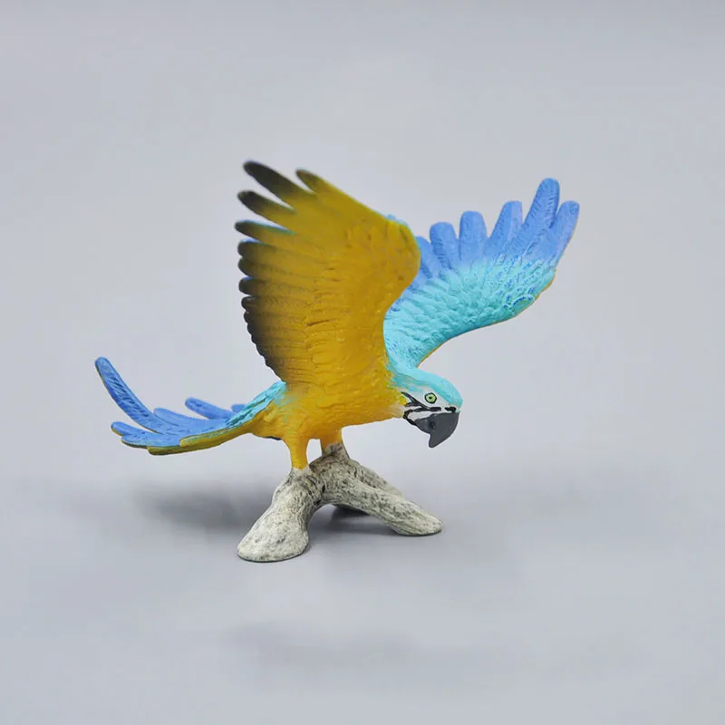 Asli Asli Hewan Liar Eagle Crane Macaw Burung Camar Pelican Snowy