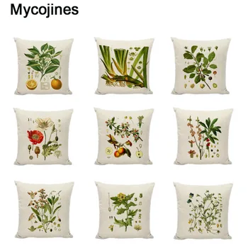 Cushion Cover Herb Linen Cotton Hazelnuts Acorn Poppies Rue Seed Throw Pillow Case Home Decor Chinese Herbal Medicine Pillowcase 
Cushion Cover Herb Linen Cotton Hazelnuts Acorn Poppies Rue Seed Throw Pillow Case Home Decor Chinese Herbal Medicine Pillowcase
