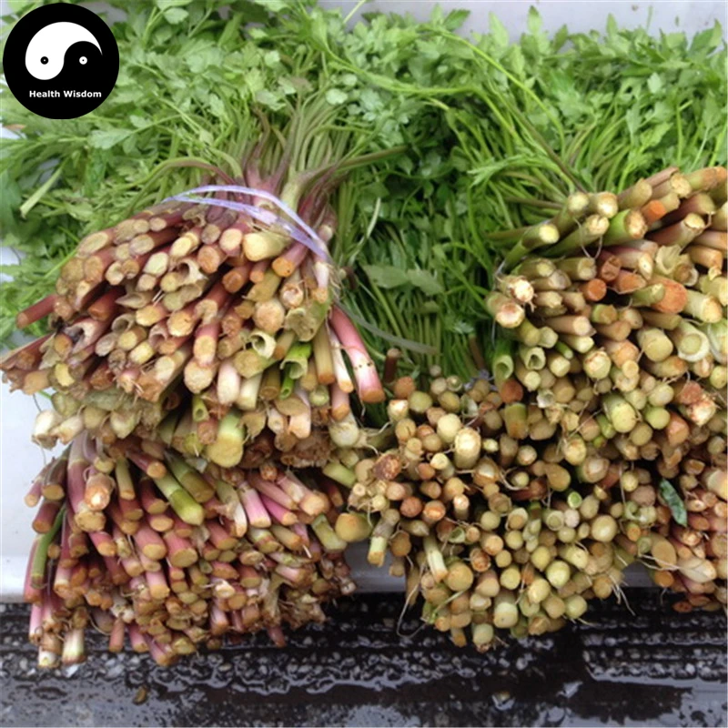 Buy Purple Cilantro Semente 800pcs Plant Spices Vegetables Parsley Coriandrum Sativum
Buy Purple Cilantro Semente 800pcs Plant Spices Vegetables Parsley Coriandrum Sativum