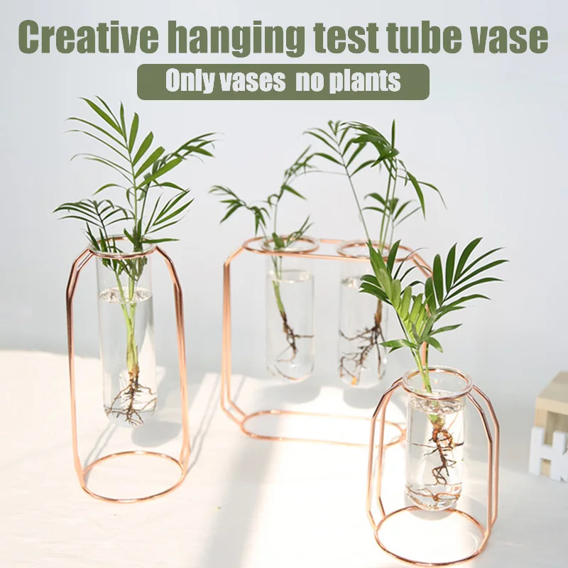 Metal Test Tube Vase Planter Terrariums Decorations for Living Room Decor LBShipping
Metal Test Tube Vase Planter Terrariums Decorations for Living Room Decor LBShipping