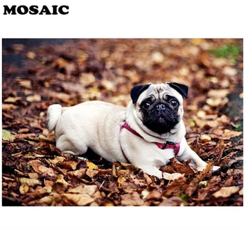 Full Diamond Painting Pug Dog Animals Diamond Embroidery Patterns Home Decoration Painting Gift Cross Stitch
Full Diamond Painting Pug Dog Animals Diamond Embroidery Patterns Home Decoration Painting Gift Cross Stitch