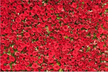 Rose Flowers Wall Wedding Photo Backgrounds Portrait Custom Photography Backdrops fondali fotografici
Rose Flowers Wall Wedding Photo Backgrounds Portrait Custom Photography Backdrops fondali fotografici