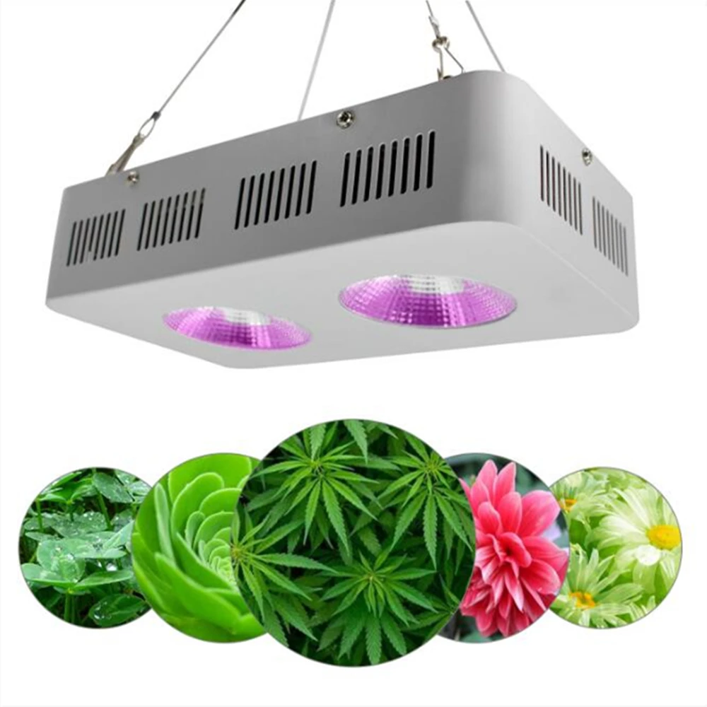Plant growth light switch light cob integrated plant light 400W indoor plant growth light
Plant growth light switch light cob integrated plant light 400W indoor plant growth light