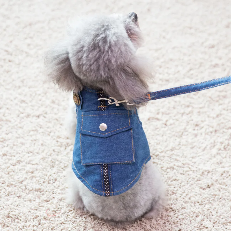 Korean version of breathable pet dog collar dog leash Teddy dog rope Garfield small and medium cat dog harness puppy supplies
Korean version of breathable pet dog collar dog leash Teddy dog rope Garfield small and medium cat dog harness puppy supplies