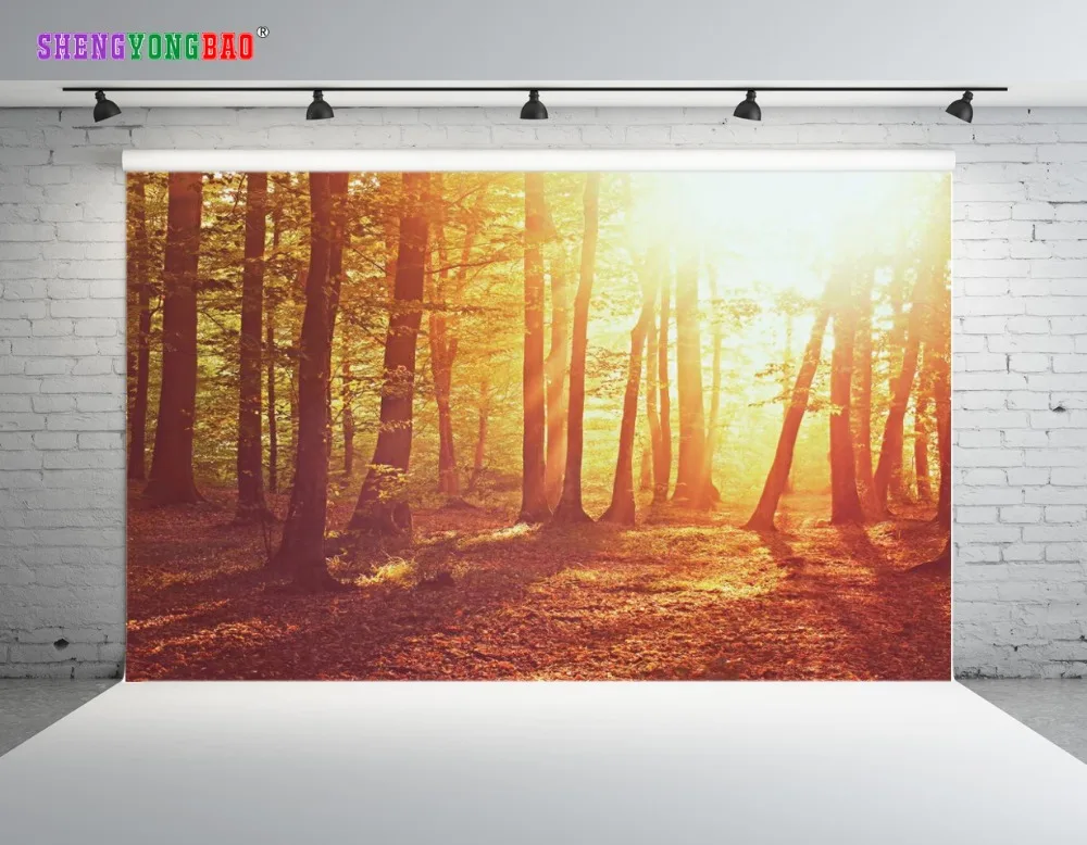 SHENGYONGBAO Art Cloth Digital Printed Scenery Backdrops for Photography Horizontal Forest theme Photo Studio Background SZ-65
SHENGYONGBAO Art Cloth Digital Printed Scenery Backdrops for Photography Horizontal Forest theme Photo Studio Background SZ-65