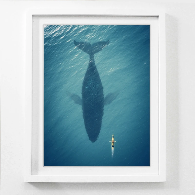 Man floats next to a big shark Art Print Pictures , Ocean Shark Canvas Painting Poster Modern Home Living Room Art Decor
Man floats next to a big shark Art Print Pictures , Ocean Shark Canvas Painting Poster Modern Home Living Room Art Decor