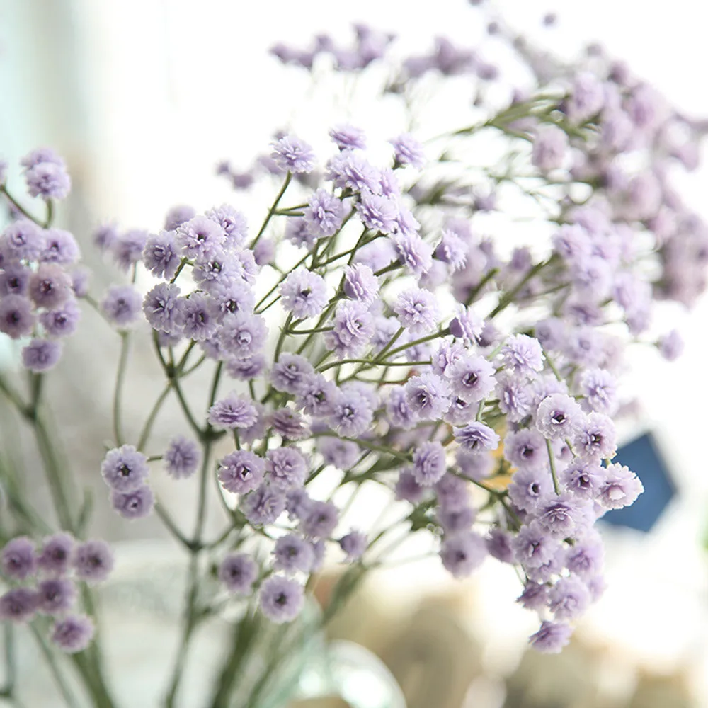 Natural Dried Flowers Bouquets Translucidus Artificial And Dried Flowers Baby's Breath Floral Wedding Bouquet Party Decor K403
Natural Dried Flowers Bouquets Translucidus Artificial And Dried Flowers Baby's Breath Floral Wedding Bouquet Party Decor K403
