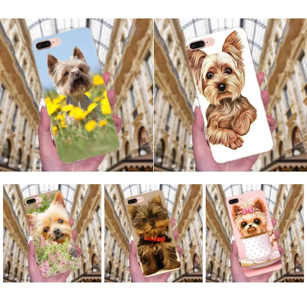 High Quality Multi Colors Yorkshire Terrier Dog Puppy Shell For Apple iPhone 4 4S 5 5C 5S SE 6 6S 7 8 Plus X XS Max XR
High Quality Multi Colors Yorkshire Terrier Dog Puppy Shell For Apple iPhone 4 4S 5 5C 5S SE 6 6S 7 8 Plus X XS Max XR
