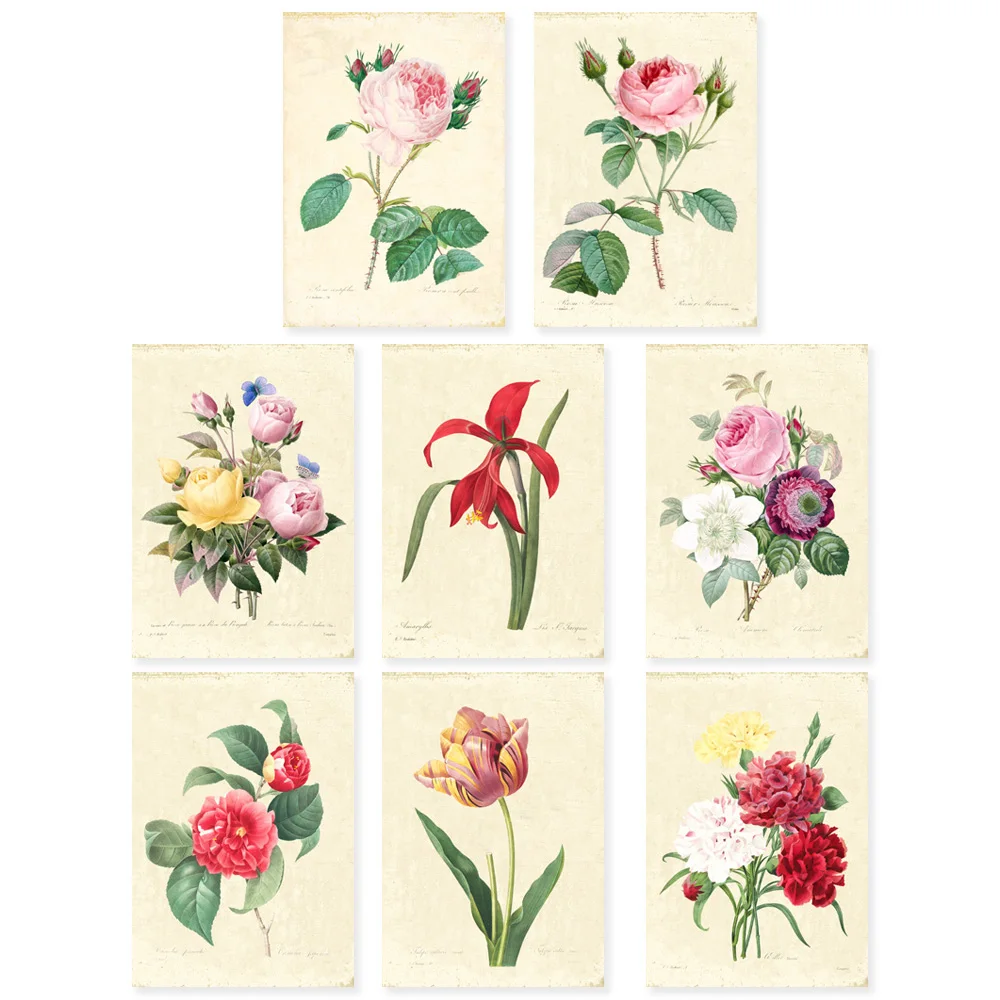Vintage Redoute Botanical art Print Set SET of 10 Art Rose floar Farmhouse wall decor unframed
Vintage Redoute Botanical art Print Set SET of 10 Art Rose floar Farmhouse wall decor unframed