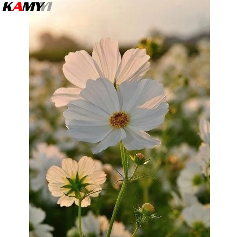 5D Diamond Painting Cross Stitch Diamond Embroidery white flower Full Square Rhinestones Pattern Home Decoration XY1
5D Diamond Painting Cross Stitch Diamond Embroidery white flower Full Square Rhinestones Pattern Home Decoration XY1