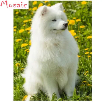 Full Square Diamond 5D DIY Diamond Painting Photo Custom Dog "Samoyed" 3D Embroidery Cross Stitch Mosaic Decor
Full Square Diamond 5D DIY Diamond Painting Photo Custom Dog "Samoyed" 3D Embroidery Cross Stitch Mosaic Decor