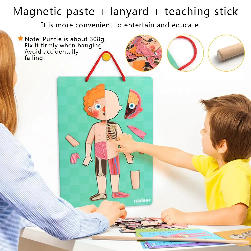 Children's Early Learning Educational Toys Magnetic Human Body Structure Cognitive Puzzle 4 Layers For Boys Girls Kindergarten
Children's Early Learning Educational Toys Magnetic Human Body Structure Cognitive Puzzle 4 Layers For Boys Girls Kindergarten