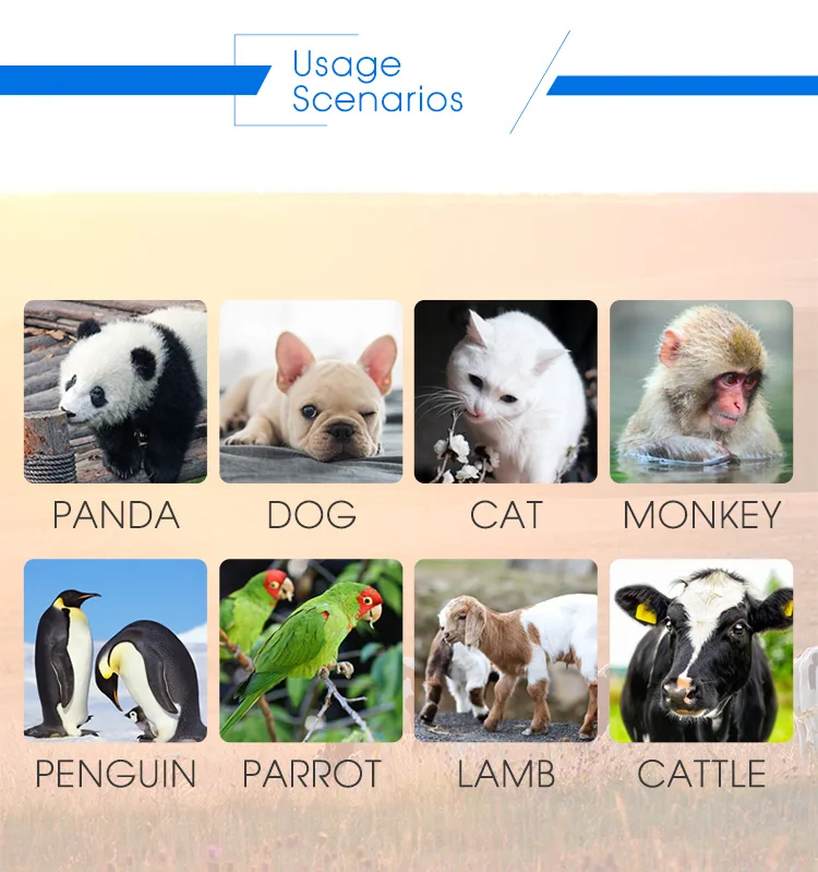 pet microchip scanner_14