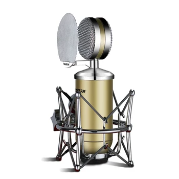 Takstar SM17/SM-17 side-address microphone professional recording microphone for professional studio recording/broadcasting
Takstar SM17/SM-17 side-address microphone professional recording microphone for professional studio recording/broadcasting