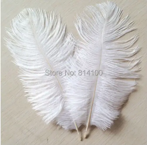 100pcs/lot 6-8 inch 15-20cm white ostrich feathers for wedding decor craft
100pcs/lot 6-8 inch 15-20cm white ostrich feathers for wedding decor craft