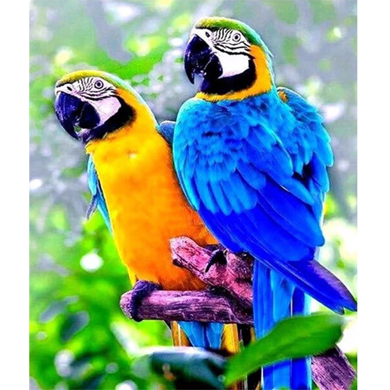 3D Parrots standing on the branch image DIY diamond embroidery decor picture diamond painting cross stitch FULL mosaic pattern
3D Parrots standing on the branch image DIY diamond embroidery decor picture diamond painting cross stitch FULL mosaic pattern