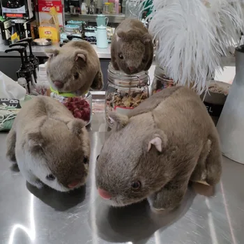18-28CM Wild World Guinea Pig Plush Cavia porcellus Doll Cute Stuffed Simulative Toys for Baby Kids Birthdays Gifts
18-28CM Wild World Guinea Pig Plush Cavia porcellus Doll Cute Stuffed Simulative Toys for Baby Kids Birthdays Gifts