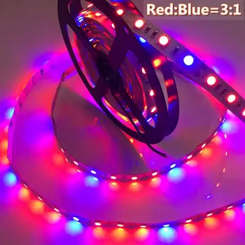 LED Plant Grow Lights 5050 LED Strip DC12V Red Blue 3:1, 4:1, 5:1,for Greenhouse Hydroponic Plant Growing IP20 IP65 Growth Light
LED Plant Grow Lights 5050 LED Strip DC12V Red Blue 3:1, 4:1, 5:1,for Greenhouse Hydroponic Plant Growing IP20 IP65 Growth Light