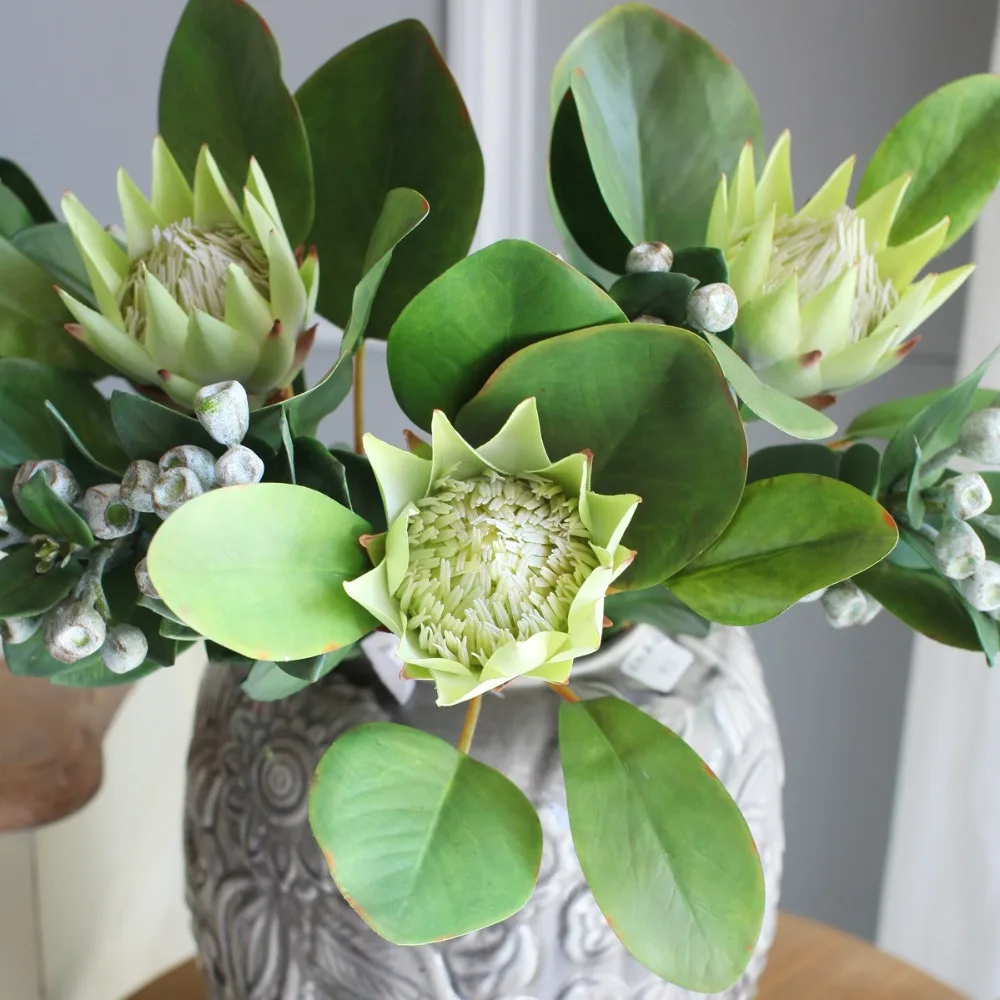 3pcs Green King Protea Cynaroides 51cm Length Artificial Flowers Bouquets Wedding Bridal Home Shop Decorative Fake Flower
3pcs Green King Protea Cynaroides 51cm Length Artificial Flowers Bouquets Wedding Bridal Home Shop Decorative Fake Flower