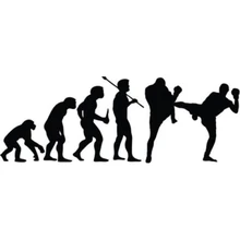 Kickboxing Evolution Cool Motorcycle SUVs Bumper Car Window Laptop Car Stylings Decal Sticker
Kickboxing Evolution Cool Motorcycle SUVs Bumper Car Window Laptop Car Stylings Decal Sticker