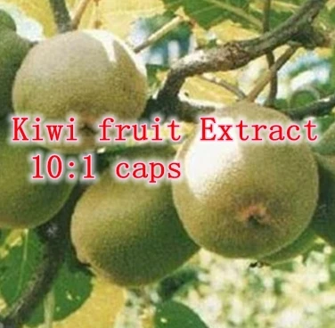 1pack Kiwi fruit Extract 10:1 caps 500mg x 300pcs rich of Polyphenols vitamin free shipping
1pack Kiwi fruit Extract 10:1 caps 500mg x 300pcs rich of Polyphenols vitamin free shipping