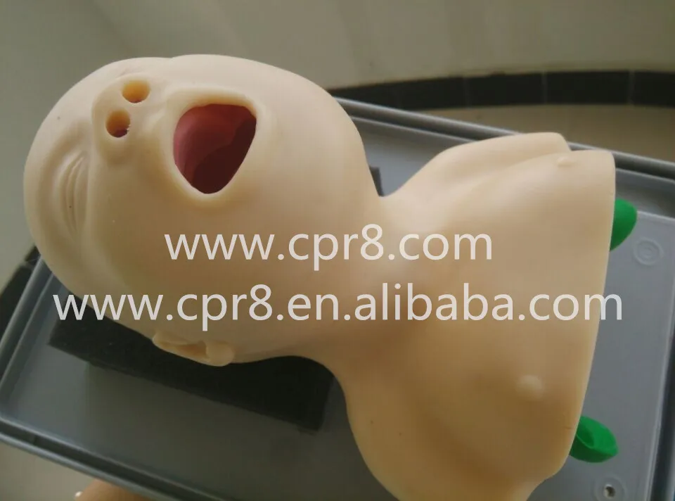 BIX-J2A Trachea Lntubation Model, Newborn Baby Weasand Cannula Training Manikin Model WBW071
BIX-J2A Trachea Lntubation Model, Newborn Baby Weasand Cannula Training Manikin Model WBW071