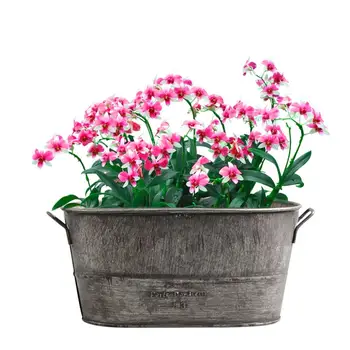 1pcs Retro Galvanized Iron Flowerpot Decoration Planter European Style Antique Finish Metal Made Flower Pot
1pcs Retro Galvanized Iron Flowerpot Decoration Planter European Style Antique Finish Metal Made Flower Pot