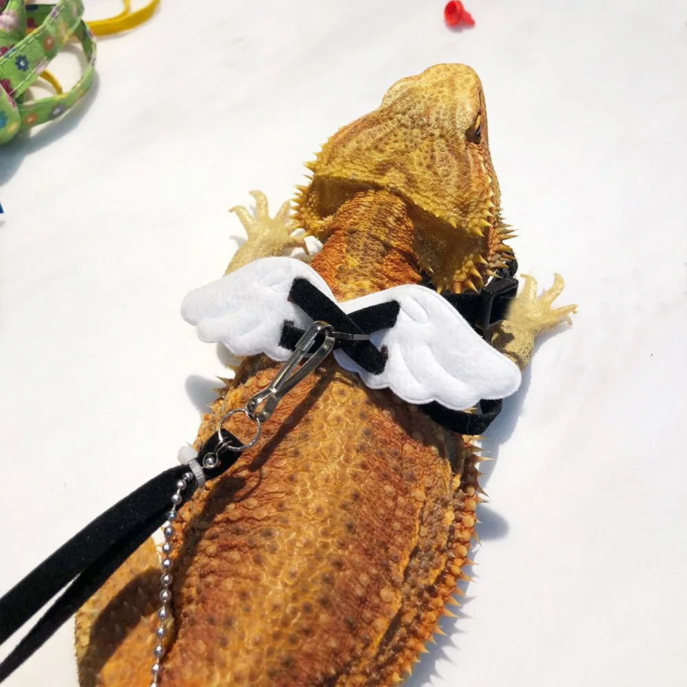 New Lizard Angel Wing Traction Rope Pet Harness Reptile Leash Adjustable Outdoor Training Soft Strap
New Lizard Angel Wing Traction Rope Pet Harness Reptile Leash Adjustable Outdoor Training Soft Strap
